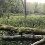 Buy Rural Vacant Land